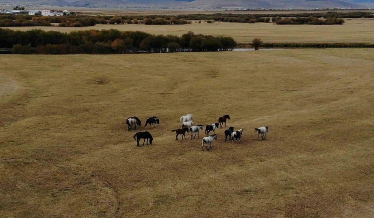 ardahanin-yalik-atlari-ve-dron-goruntulemeyle-doga-turizmi-potansiyeli-O4wRVB8p.jpg