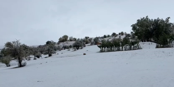 Bingöl’ün Yüksek Kesimlerinde İlk Kar Sevinci: Soğuk Havasıyla Bembeyaz Manzara