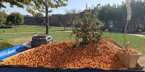 Bölgenin Doğal Zenginliği: Alıç ve Sağlığa Faydaları