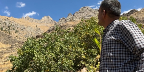 Dağ Keçileri Kalesi: Hakkari’deki Göksel Zırhlı Zirve