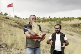 erzurumda-saglik-kontrolunden-gecip-dogaya-geri-birakilan-peceli-baykusun-yeniden-dogaya-adaptasyonu-IeeEL6eZ.jpg