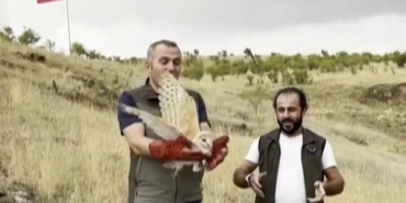 erzurumda-saglik-kontrolunden-gecip-dogaya-geri-birakilan-peceli-baykusun-yeniden-dogaya-adaptasyonu-IeeEL6eZ.jpg