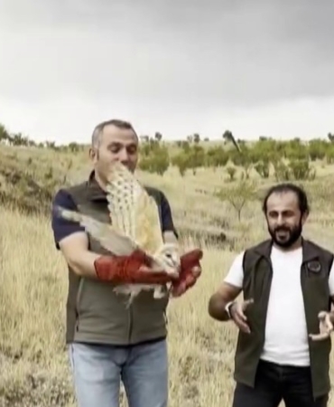 erzurumda-saglik-kontrolunden-gecip-dogaya-geri-birakilan-peceli-baykusun-yeniden-dogaya-adaptasyonu-IeeEL6eZ.jpg