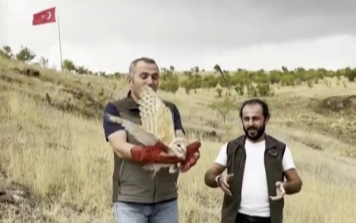 erzurumda-saglik-kontrolunden-gecip-dogaya-geri-birakilan-peceli-baykusun-yeniden-dogaya-adaptasyonu-IeeEL6eZ.jpg