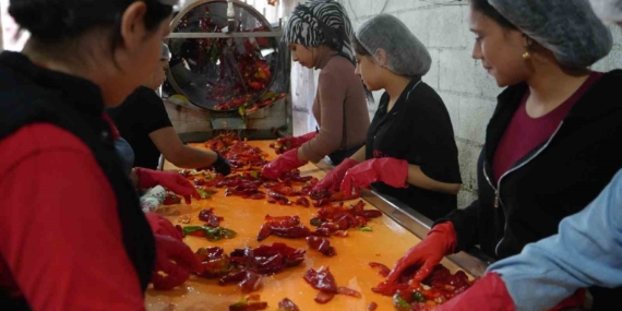Gaziantep’in Kış Hazırlığında Kadınların Salça Yoluyla Aile Ekonomisine Katkısı
