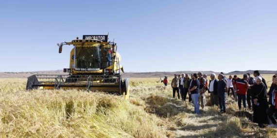 Karacadağ Çeltiği: Coğrafi İşaretli Pirincin Hasat Sevinci ve Yaygınlaştırma Projesi