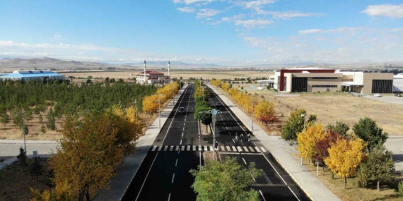 Kars’ta Sonbahar Renkleri: Ağaçlar Altın Yıllarını Yaşıyor