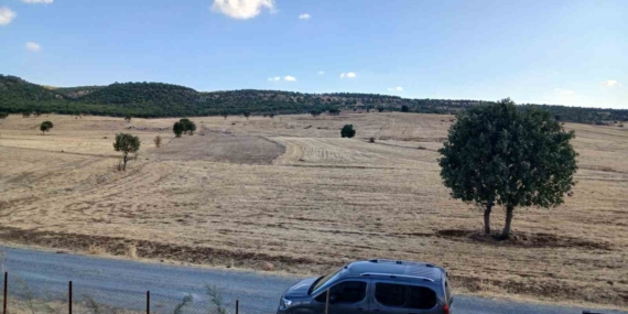 Kulp’ta Sağanakların Bereketi: Çiftçiler Ekim Öncesi Hazırlıklarını Geliştirdi