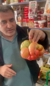 mazidaginda-dev-domatesin-sirri-tarladan-gelen-1-kilo-400-gramlik-sasirtici-agirlik-pPSCBtU2.jpg