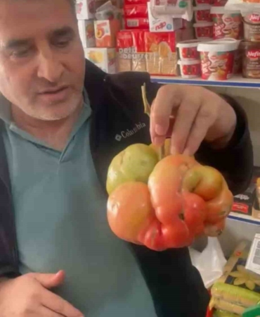 mazidaginda-dev-domatesin-sirri-tarladan-gelen-1-kilo-400-gramlik-sasirtici-agirlik-pPSCBtU2.jpg