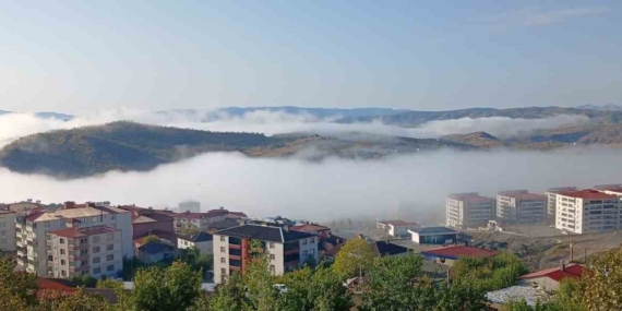 sis-ve-yagis-sonrasi-diyarbakir-kulpta-gorus-mesafesi-dususu-suruculer-dikkatli-KcGGUCFA.jpg