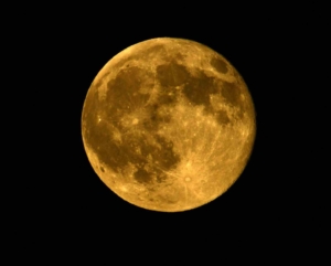 van-golu-uzerinde-dolunay-yakamozu-ahlat-iskelesinde-buyuleyici-anlar-wqEae5cN.jpg