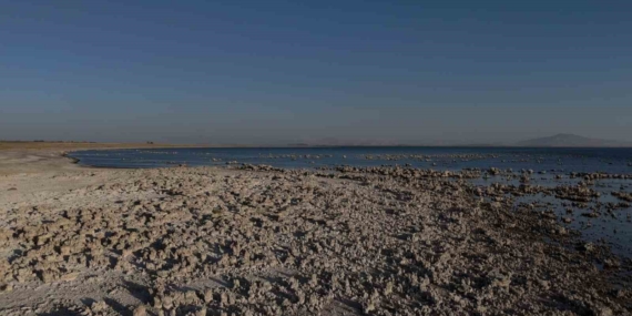 Van Gölü’nde Kuraklık ve Çatlaklar: Suyun Azalması Bölge Ekonomisini Nasıl Etkiliyor?