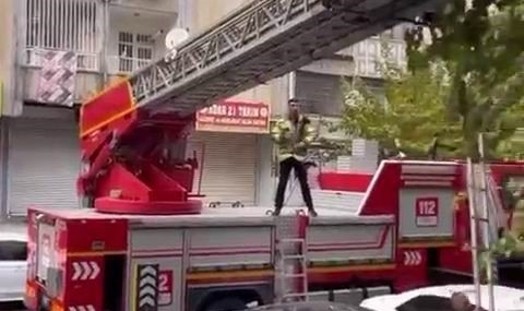 Ağaçta Mahsur Kalan Kedi İtfaiye Ekiplerinin Hızlı Müdahalesiyle Kurtarıldı