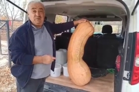 antalya-tohumuyla-yetisen-devi-kabak-47-kilogramlik-koca-boyut-37K5Tggc.jpg