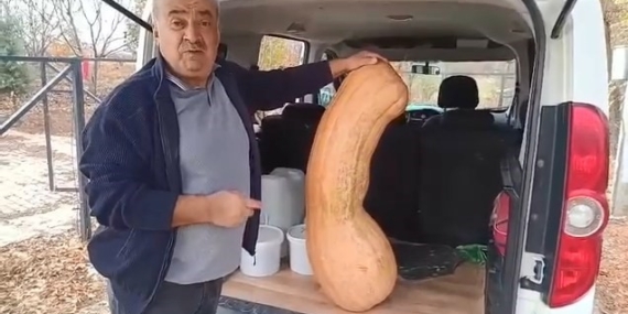 Antalya Tohumuyla Yetişen Devi Kabak: 47 Kilogramlık Koca Boyut