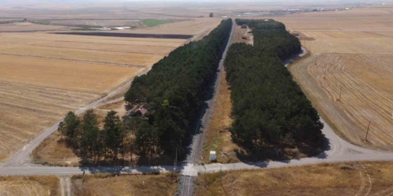 Benliahmet İstasyonu: Bozkırın İçindeki Yeşil Cazibe ve Tarih Kokan Bir Nokta