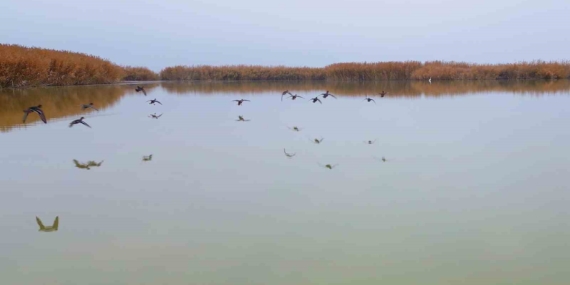 Bitlis’te Sıcak Su Kaynaklarının Diyalektiği Göç ve Doğa Fotoğrafçılığı