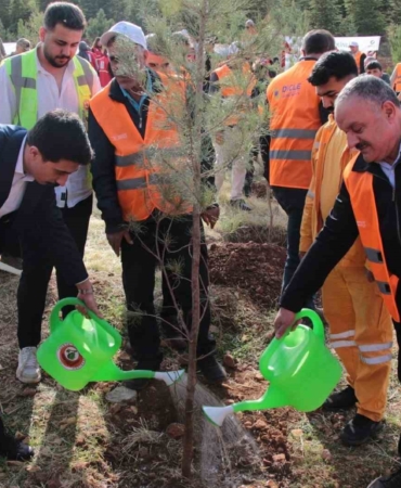 depsas-enerjinin-milli-agaclandirma-gunu-etkinligi-makam-daginda-3-bin-fidan-seferberligi-vOrtJRw2.jpg