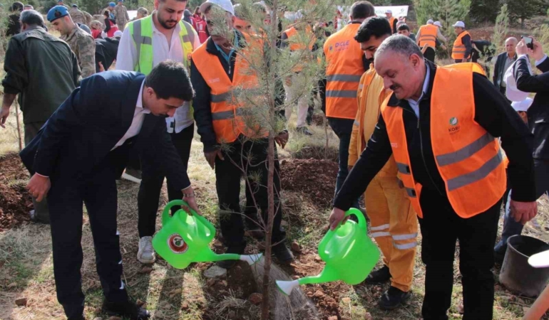 depsas-enerjinin-milli-agaclandirma-gunu-etkinligi-makam-daginda-3-bin-fidan-seferberligi-vOrtJRw2.jpg