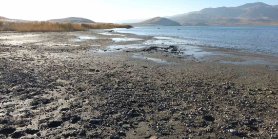 Erçek Gölü’nde Su Seviyesi Düşüşü ve Mikrobiyalitlerin Gün Yüzüne Çıkması