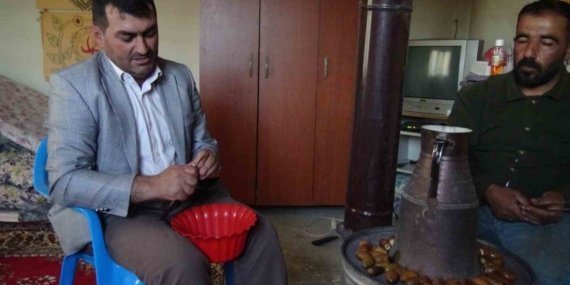 Gercüş’te Kışa Hazırlık: Doğanın Şifa Dolu Meyvesi Meşe Palamudu