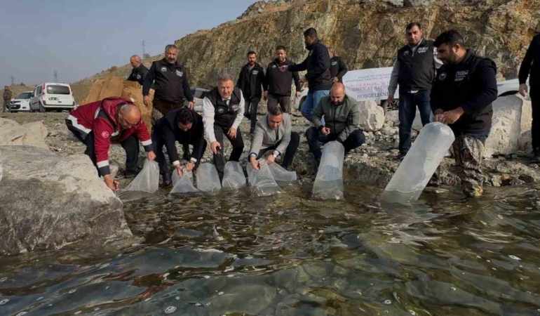 karakaya-baraj-golune-420-binden-fazla-yavru-balik-birakildi-surdurulebilirlik-icin-ar-ge-yogun-faaliyet-3sDbmT1j.jpg