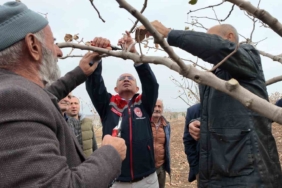 siirtte-fistik-ureticilerine-budama-ve-gubreleme-egitimi-teoriden-uygulamaya-kapsamli-program-lAslvC5l.jpg