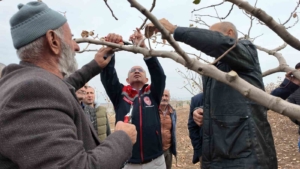 siirtte-fistik-ureticilerine-budama-ve-gubreleme-egitimi-teoriden-uygulamaya-kapsamli-program-lAslvC5l.jpg