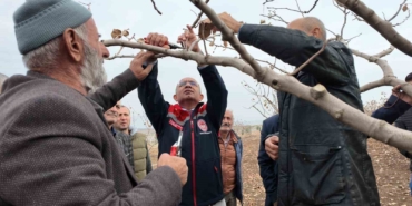 siirtte-fistik-ureticilerine-budama-ve-gubreleme-egitimi-teoriden-uygulamaya-kapsamli-program-lAslvC5l.jpg
