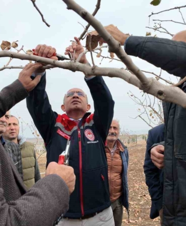 siirtte-fistik-ureticilerine-budama-ve-gubreleme-egitimi-teoriden-uygulamaya-kapsamli-program-lAslvC5l.jpg