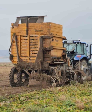 adilcevazda-seker-pancari-sokumu-verim-ve-dayanisma-dolu-bir-hasat-sezonu-tUsVntz9.jpg