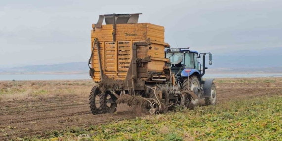 Adilcevaz’da Şeker Pancarı Sökümü: Verim ve Dayanışma Dolu Bir Hasat Sezonu