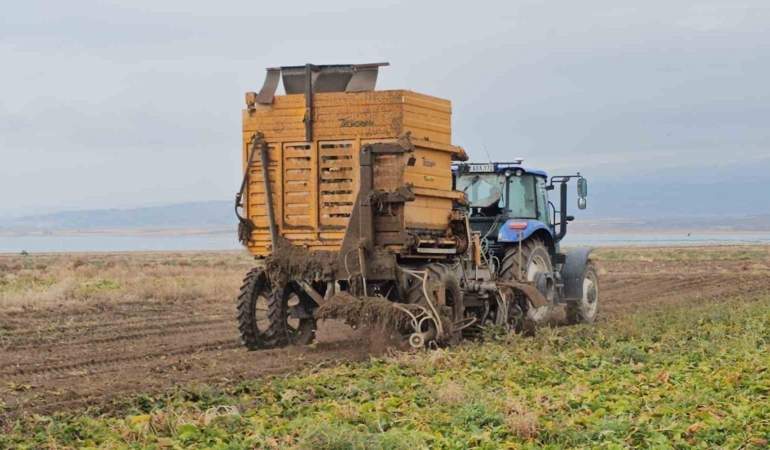adilcevazda-seker-pancari-sokumu-verim-ve-dayanisma-dolu-bir-hasat-sezonu-tUsVntz9.jpg