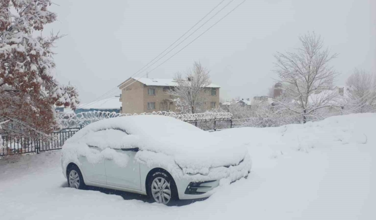 baskalede-yogun-kar-yagisi-yollar-kapandi-11-kirsal-yol-ulasima-kapali-hxL9TCJ5.jpg
