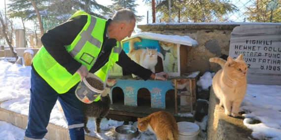 Elazığ Belediyesi Sokak ve Yaban Hayvanları İçin Kış Yemleri Dağıtıyor