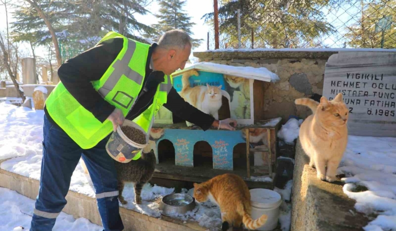 elazig-belediyesi-sokak-ve-yaban-hayvanlari-icin-kis-yemleri-dagitiyor-j6s7NaIG.jpg