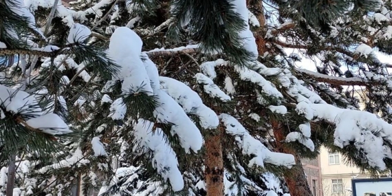 Gece Kar Yağışıyla Gelen Beyaz Şölen: Ardahan’da Dingin ve Parlak Bir Sabah