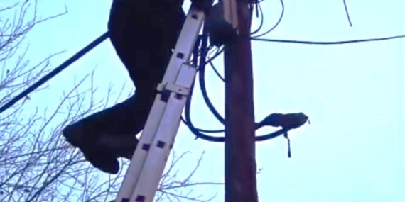 Kedi, Direkte Mahsur Kaldı: İtfaiye Ekipleri Güvenli Bir İniş Sağladı