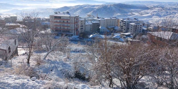 Kulp’ta Eksi 15 Derece: Şehir İçindeki Buzlanma Günlük Yaşamı Ağırladı