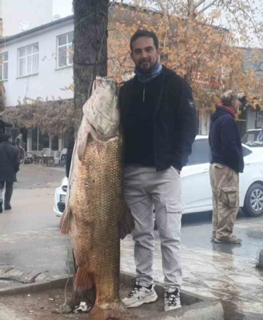 murat-nehrinde-amator-balikcilar-60-kiloluk-turnayi-gosterisli-sekilde-yakaladi-dqbPxq2v.jpg