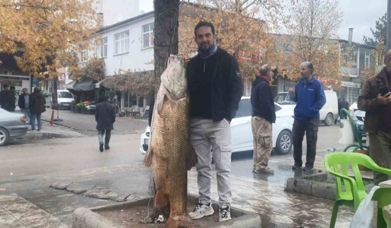 murat-nehrinde-amator-balikcilar-60-kiloluk-turnayi-gosterisli-sekilde-yakaladi-dqbPxq2v.jpg