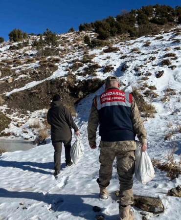 siirtte-doga-ve-hayvanlar-icin-750-kg-yem-bagisi-kis-sartlarinda-destek-3GMyTsKu.jpg