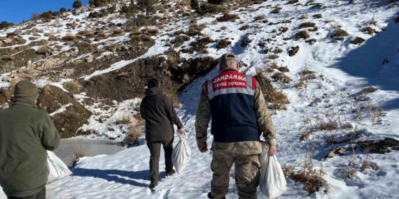 Siirt’te Doğa ve Hayvanlar İçin 750 Kg Yem Bağışı: Kış Şartlarında Destek