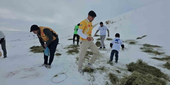 Adilcevaz’daki Doğa ve Hayvanseverler Yem Bırakarak Kış Mücadelesine Destek Verdi