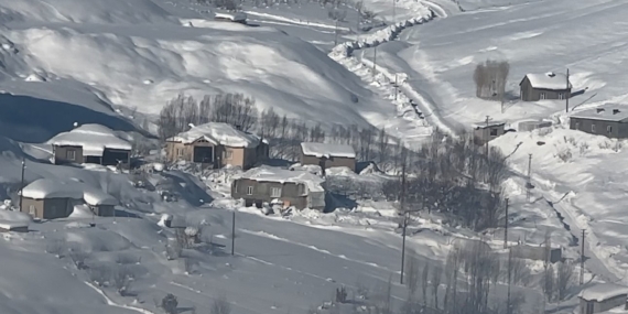 Ağır Kış Koşulları Altında Yaban Hayatı ve Çiftçi Güvenliği: Kurtlar İçin Uyarı ve Koruma Önlemleri