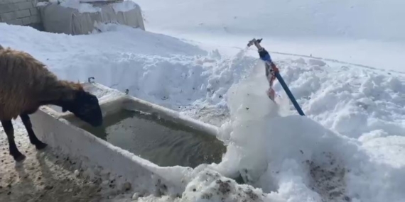 Ağrı’da Dondurucu Hava: Kentin Günlük Yaşamına Etkileri