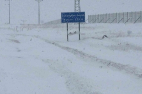 ardahanda-kar-yagisi-ve-ulasima-kapali-yollar-60-koy-yolu-ve-gecitler-kapatildi-J1tDPh2A.jpg