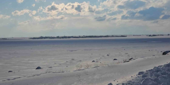 Arin Gölü Dondu: Kuş Cenneti Kışın Buzla Kaplandı