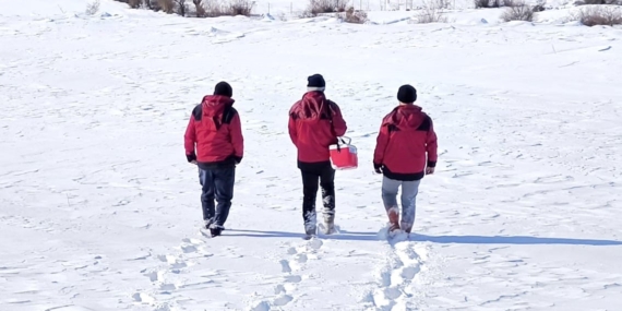 Çemişgezek’te Karnedeki Karın İçinde Hayvan Sağlığı İçin Fedakar Müdahale